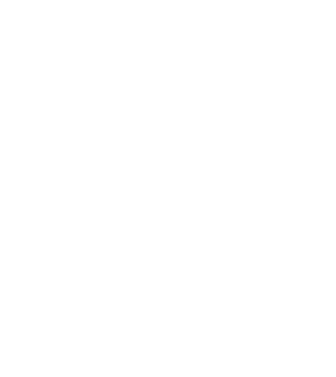Black Health Initiative